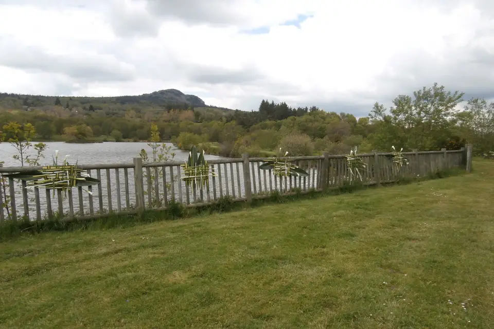 Les Moulins du Bouchat — photo 5