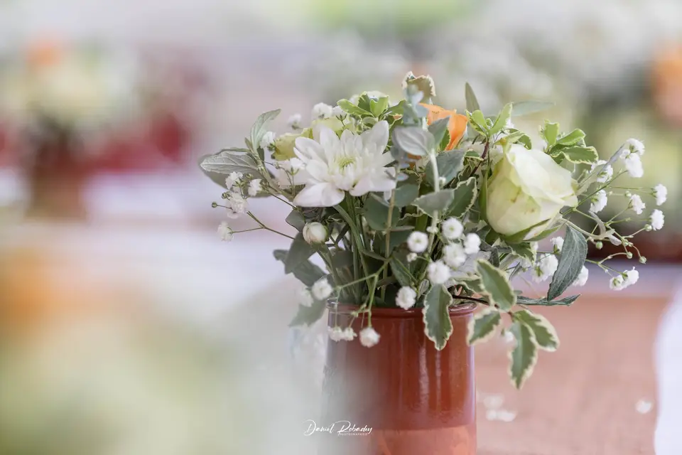 Daniel Robadey Photographies — photo 5