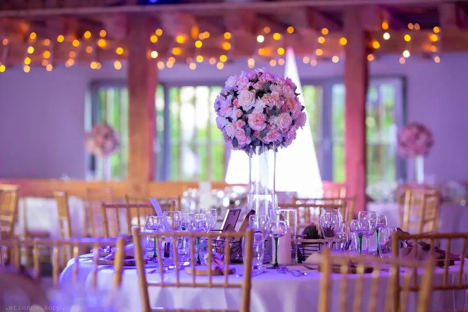 Eden Bloom — photo 7