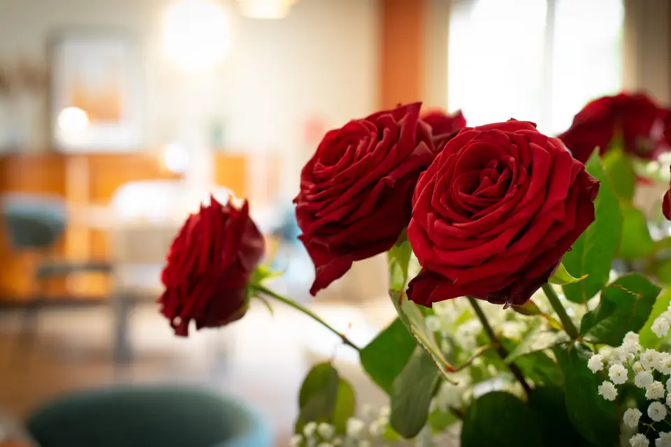 Hôtel Nell *** — photo 8