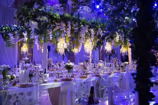 ADN Agency — photo 5