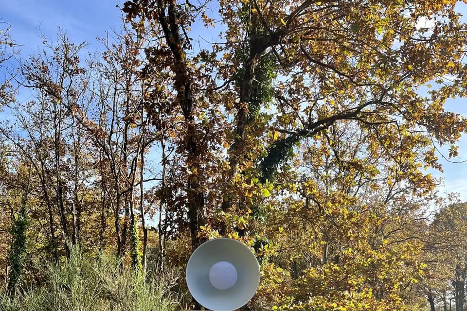 Macréatif — photo 8