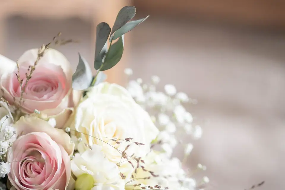 Marie M. Photographe — photo 5