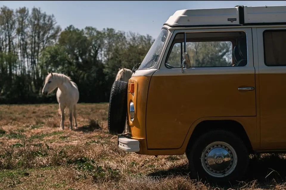 Un Combi en Provence — photo 5