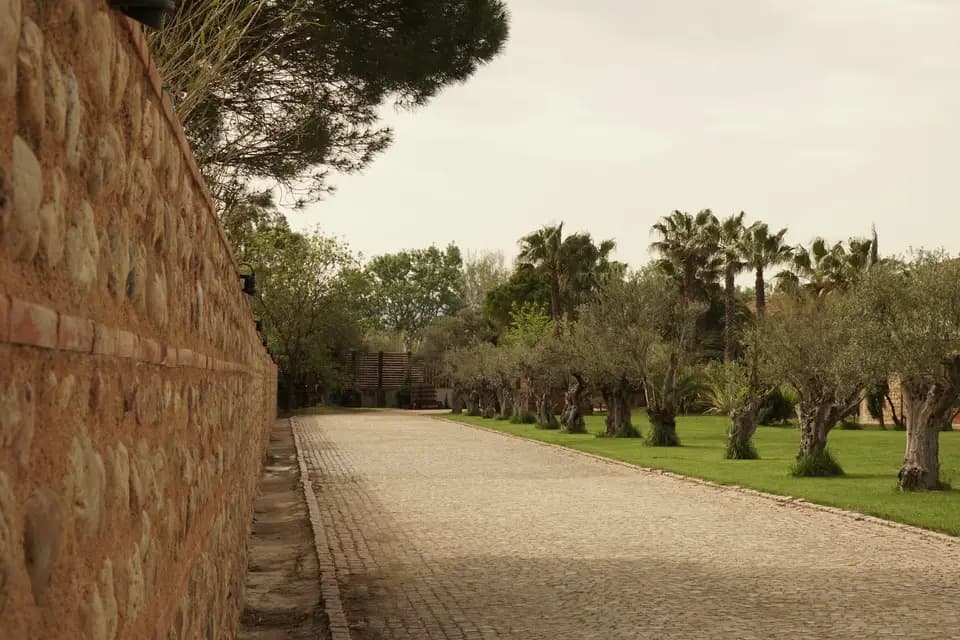 Rozenn Agence — photo 2