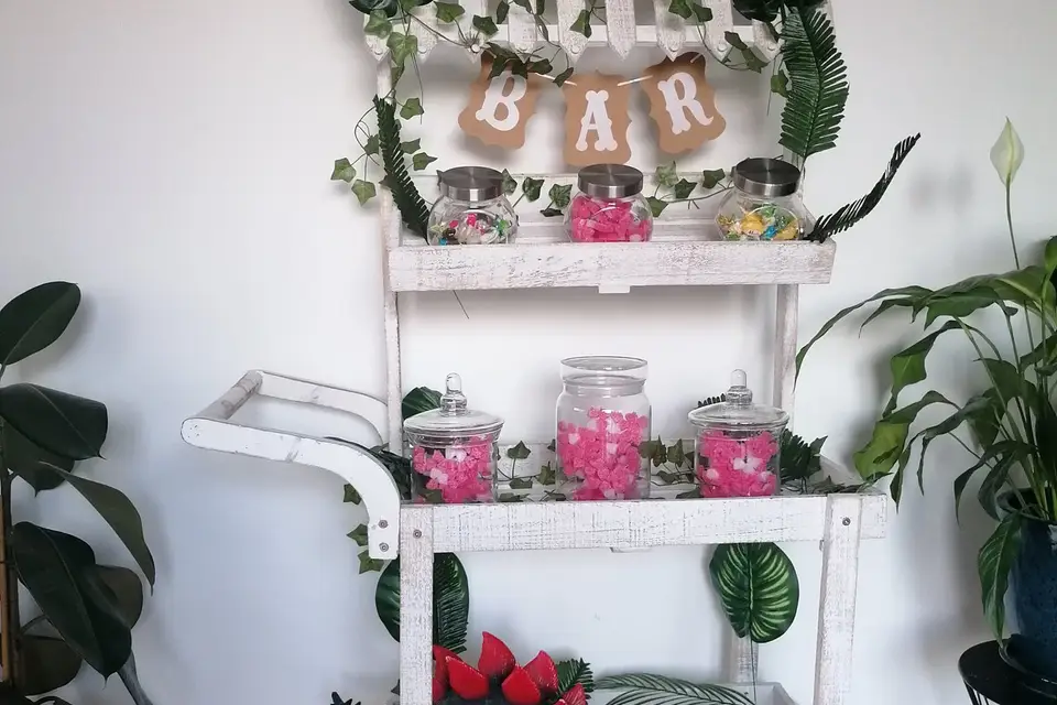 Funimatrice — photo 2