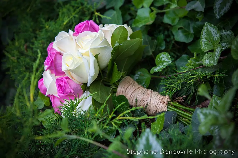 Stéphane Deneuville Photography — photo 4