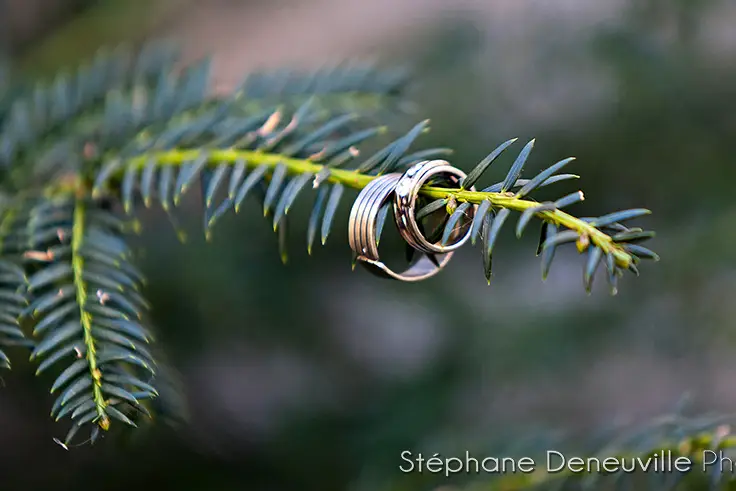 Stéphane Deneuville Photography — photo 7