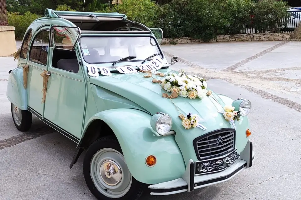 GreenCars — photo 8