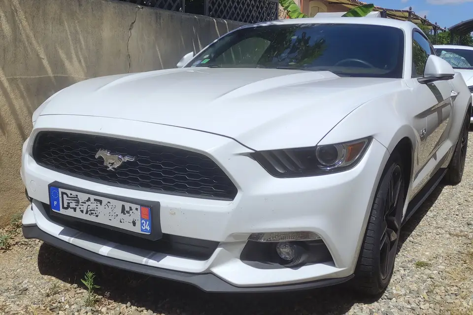 GreenCars — photo 2