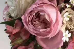 Véronique Bradol — photo 5