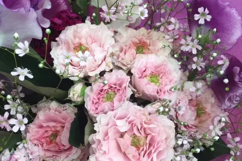 Véronique Bradol — photo 4