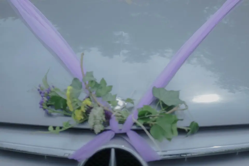 Véronique Bradol — photo 6