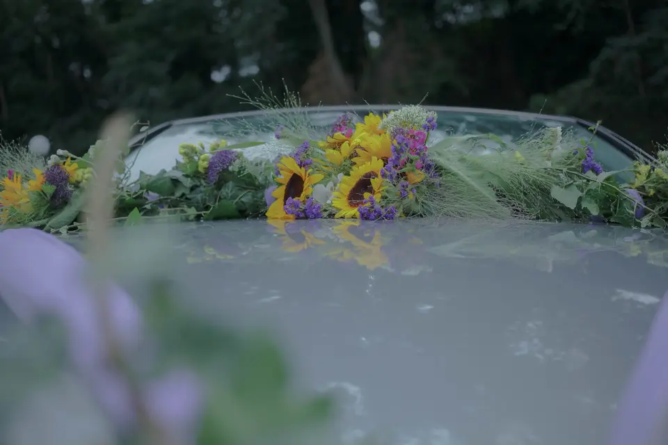 Véronique Bradol — photo 7