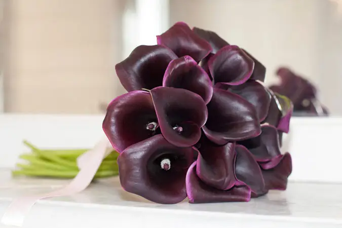 De Lys en délices — photo 8