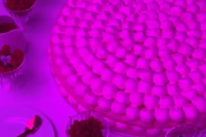 Pavillon Samar — photo 8