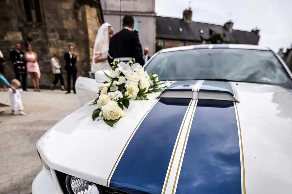 Cgregphoto — photo 6