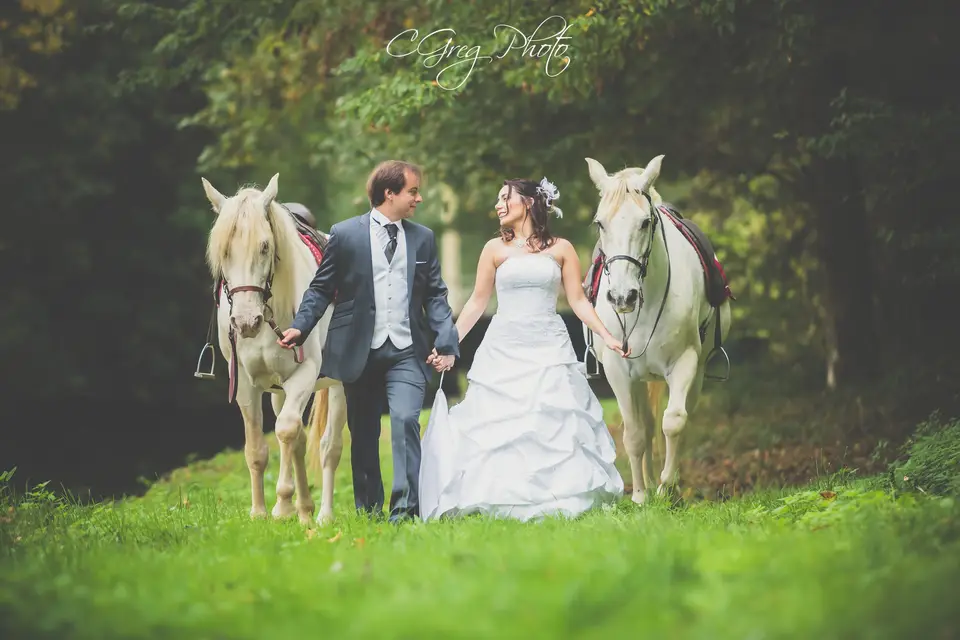 Cgregphoto — photo 2