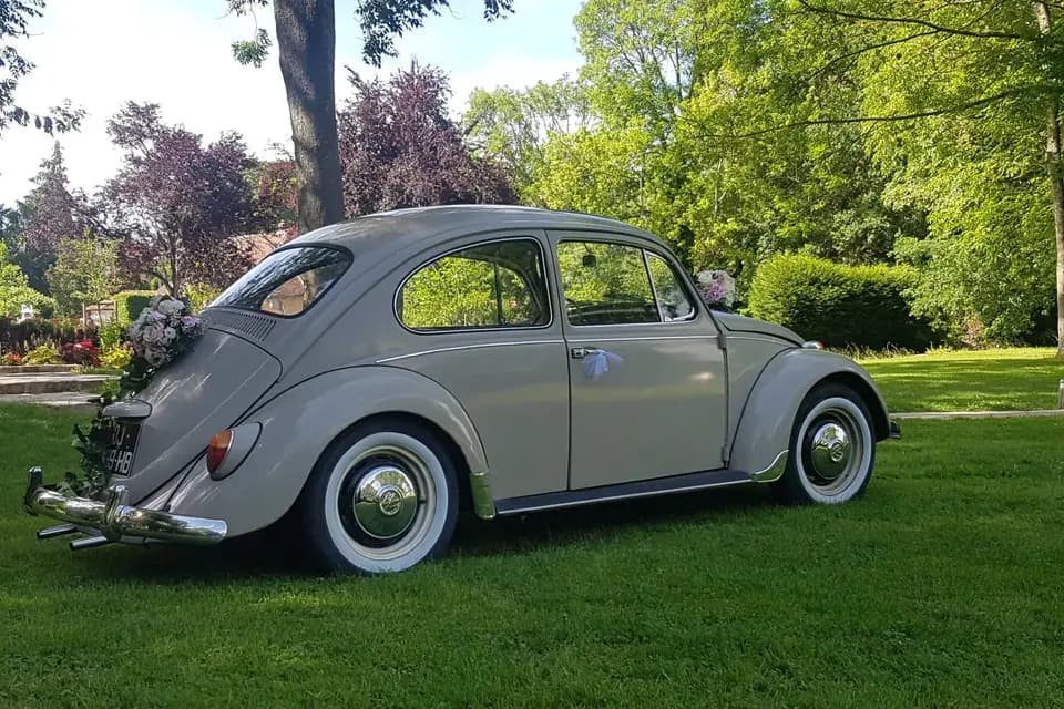 Car & Dream — photo 4