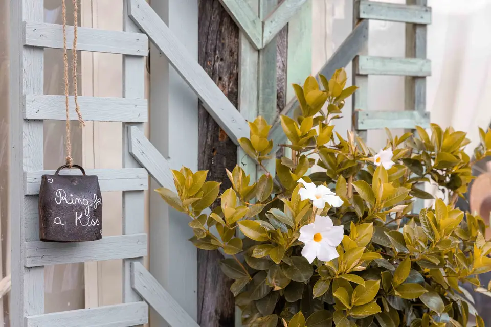 Aurélie Rouyer — photo 3