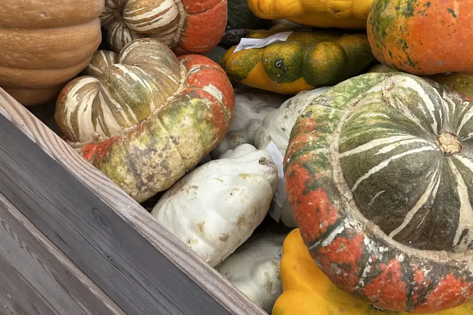 Mets en Scènes — photo 5