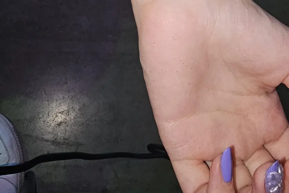 Flash Tattoo — photo 4