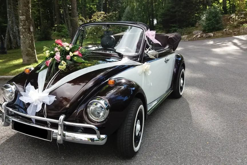 Wedding Cox — photo 3