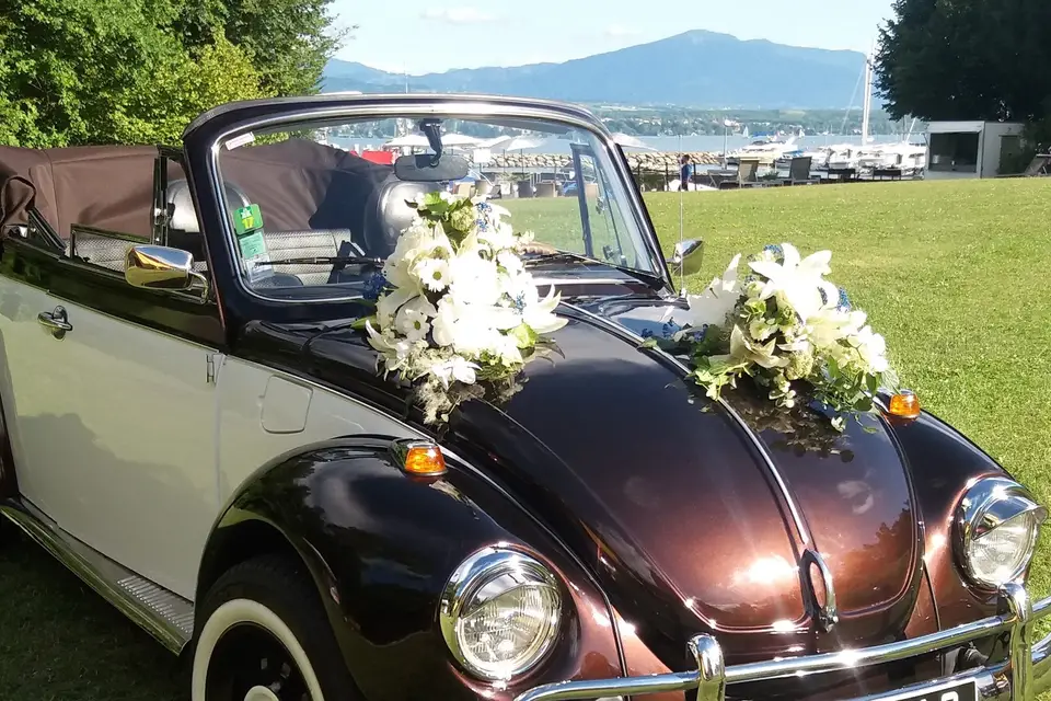 Wedding Cox — photo 6