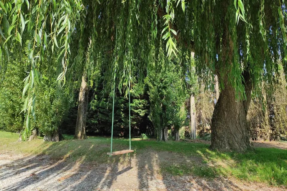 Cam & This — photo 8