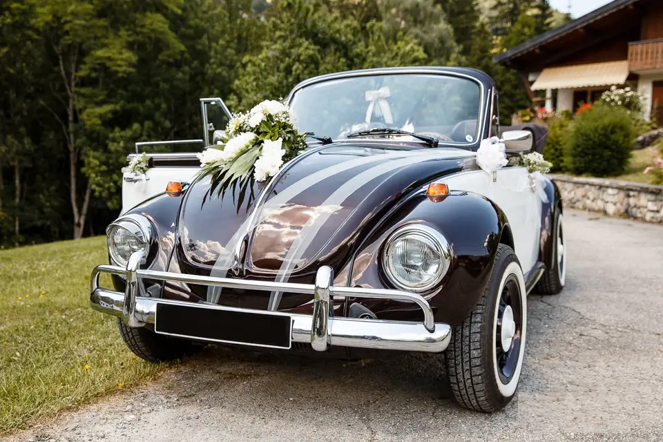 Wedding Cox — photo 1