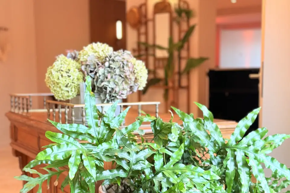 Le Clos de Loré — photo 7