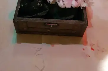 Anne et Alice font des Merveilles — photo 4