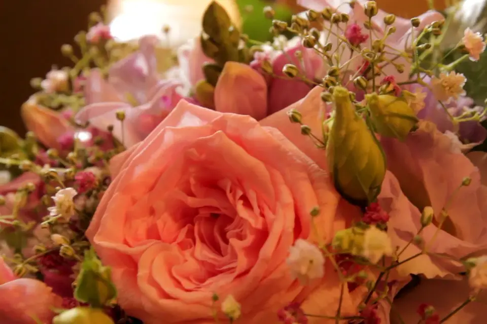 La boite à vidéos — photo 1