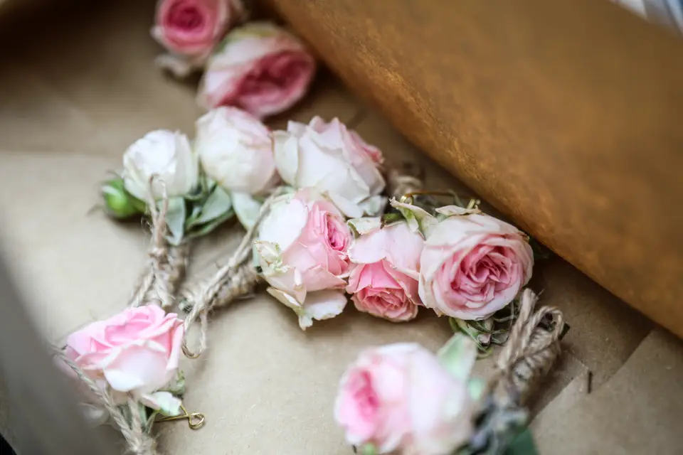 Angel Photo — photo 8