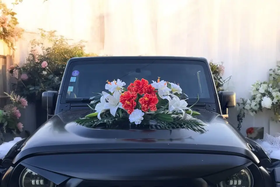 CarrosseXpedition — photo 2