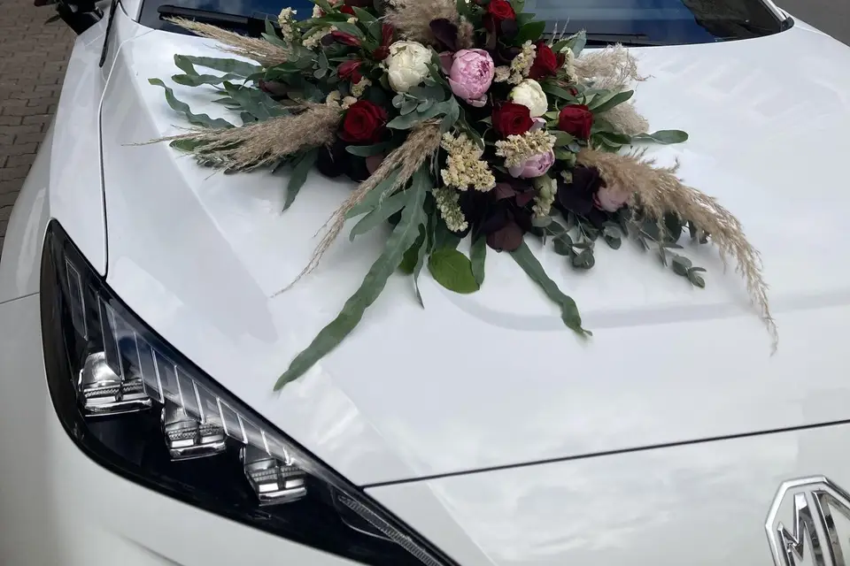 L'Univers d'une Liss — photo 2