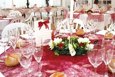 Lunch Service — photo 7