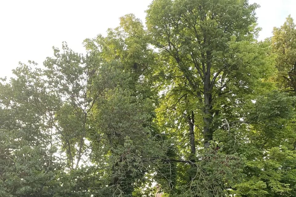 KL Location — photo 1