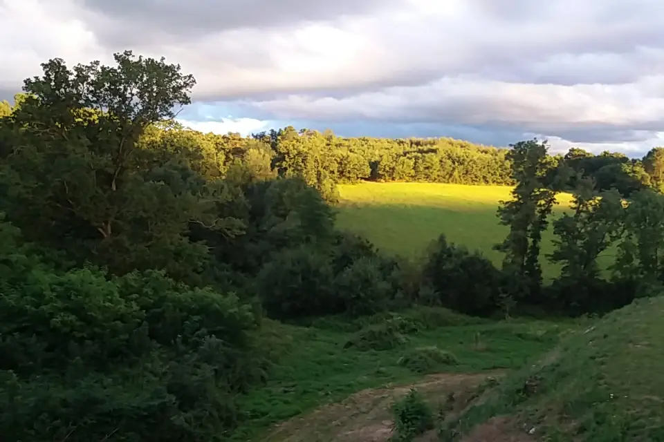 La Petite Sarre — photo 2