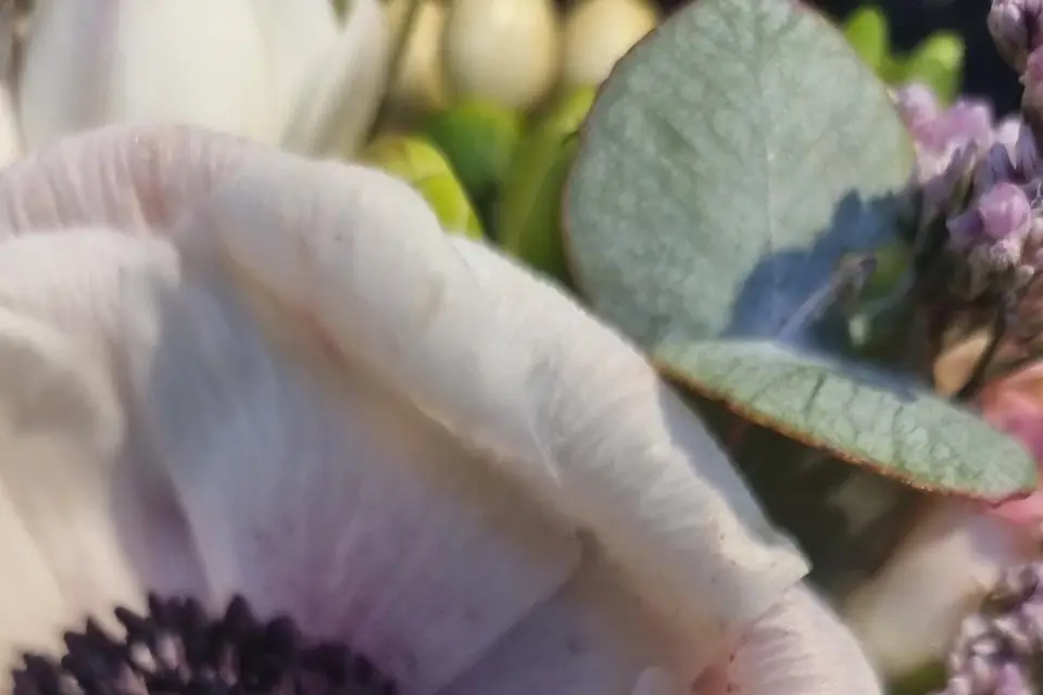 Bijouterie M — photo 7