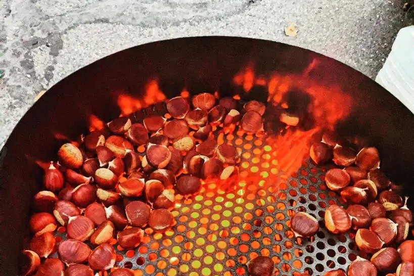 Marrons Nous — photo 1