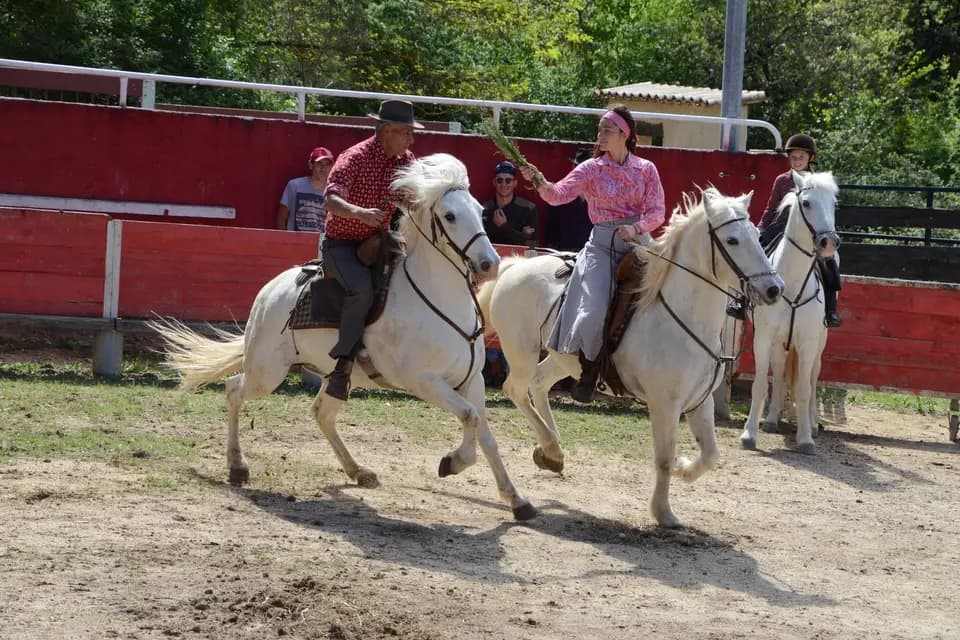 La Manade du Joncas — photo 7