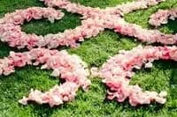 D'Iwan Floral — photo 7