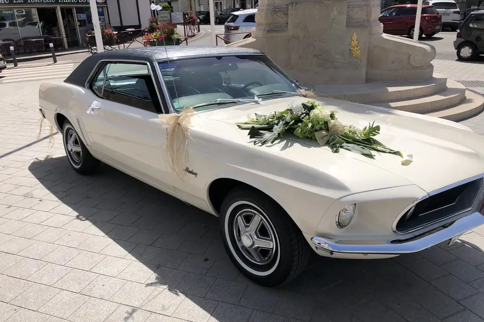 Mustang 69 — photo 1