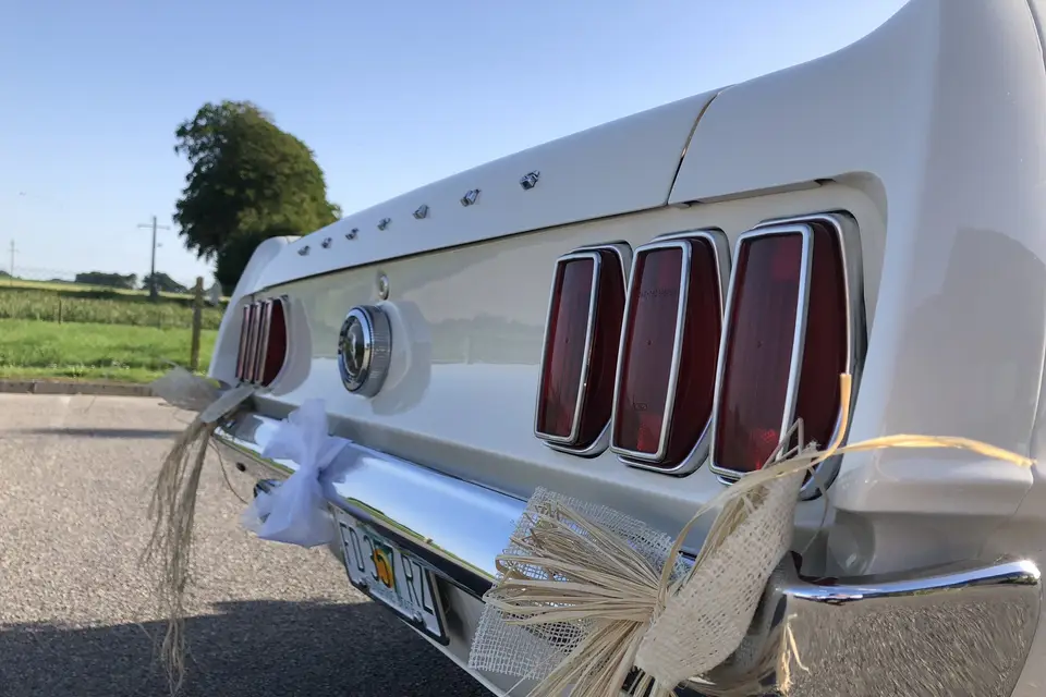 Mustang 69 — photo 2