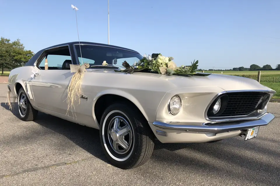 Mustang 69 — photo 3