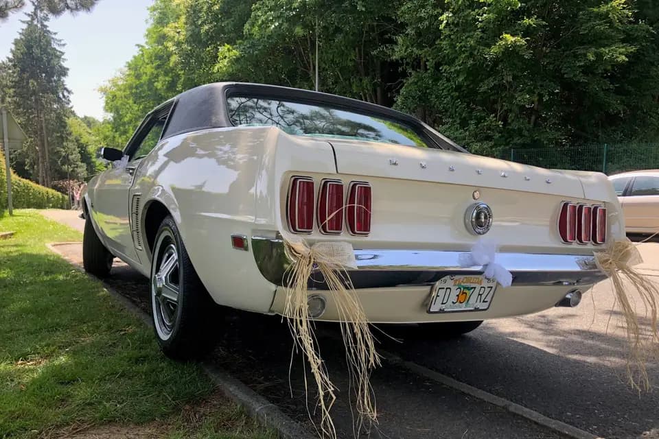Mustang 69 — photo 6