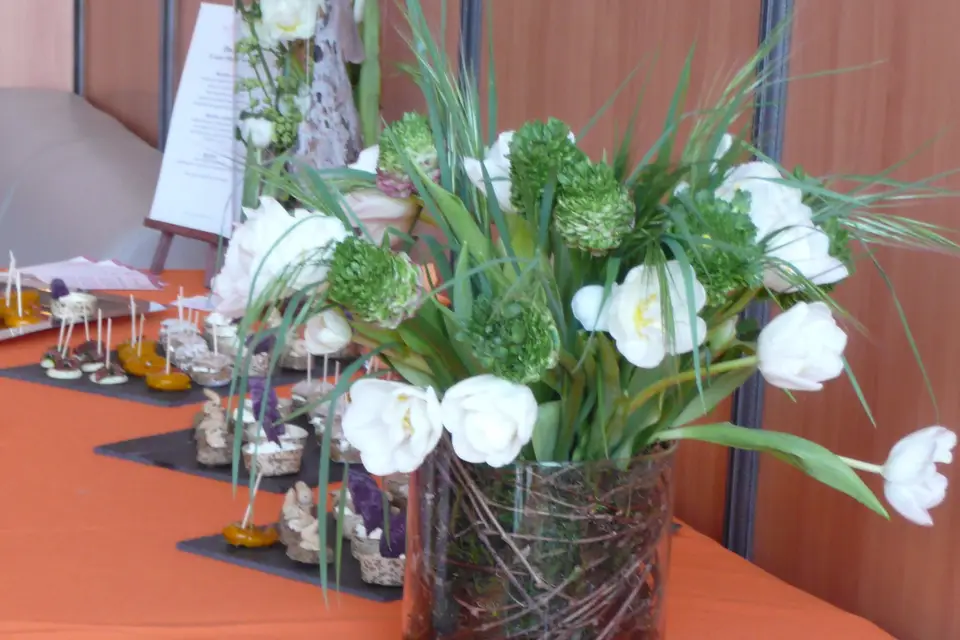 Les Fées Nature — photo 8