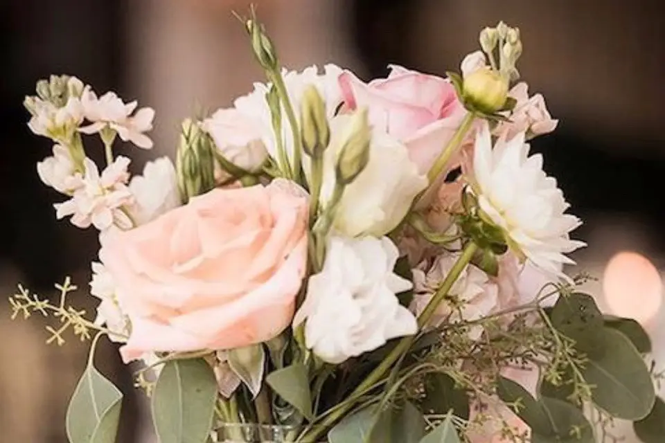 L'atelier des Templiers — photo 4