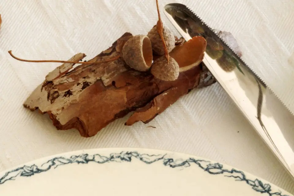 Les Fées Nature — photo 2